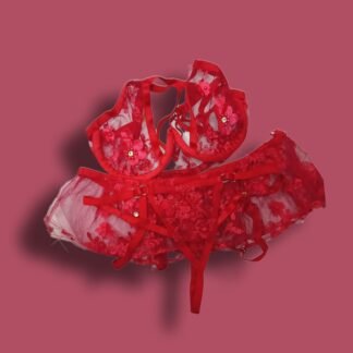 CONJUNTO DE LENCERÍA ROJO