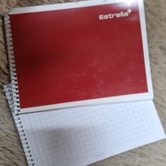 CUADERNO ITALIANO ESPIRAL CUADRO GRANDE 100 HOJAS