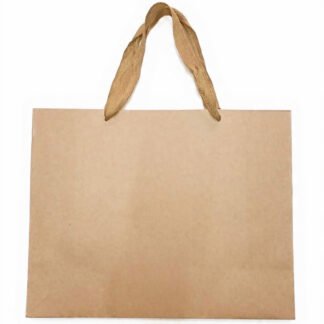 BOLSA DE REGALO MEDIANA PAPEL CRAF 25*33*12CM