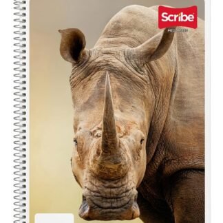 CUADERNO PROFESIONAL DOBLE RAYA