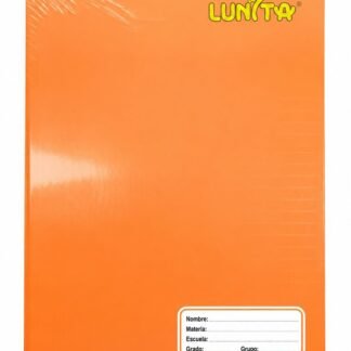 CUADERNO COSIDO PROFESIONAL CUADRO CHICO 100 HOJAS LUNITA